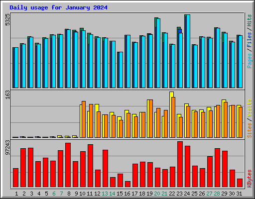 Daily usage for January 2024