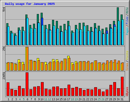Daily usage for January 2025