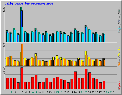 Daily usage for February 2025