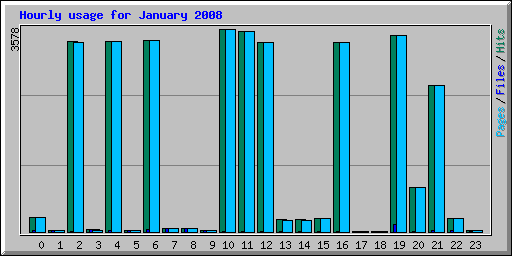 Hourly usage for January 2008