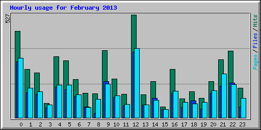 Hourly usage for February 2013
