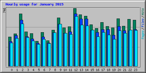 Hourly usage for January 2015