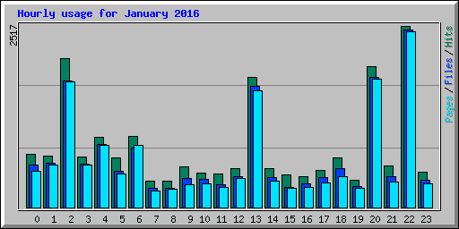 Hourly usage for January 2016