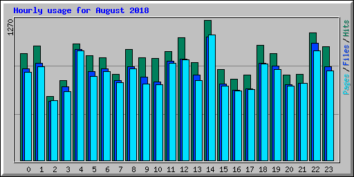 Hourly usage for August 2018