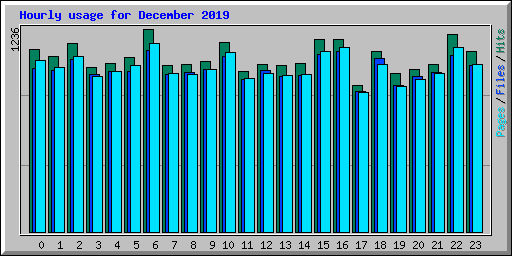 Hourly usage for December 2019