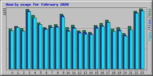 Hourly usage for February 2020