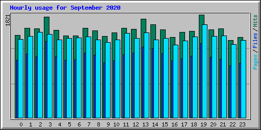 Hourly usage for September 2020