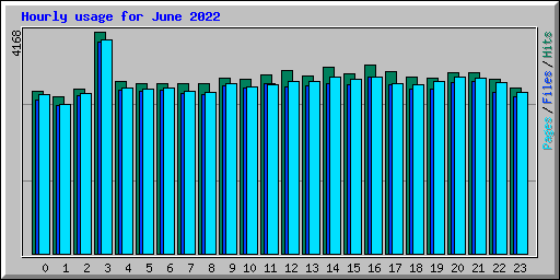 Hourly usage for June 2022