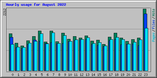 Hourly usage for August 2022