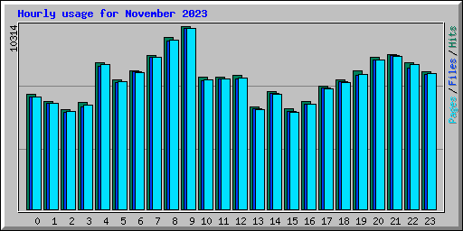 Hourly usage for November 2023