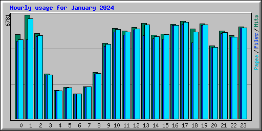 Hourly usage for January 2024