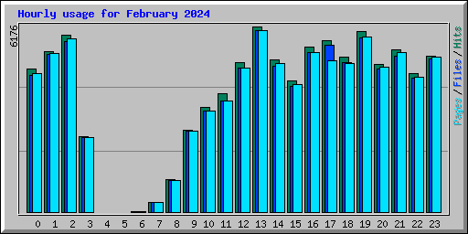 Hourly usage for February 2024