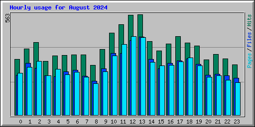 Hourly usage for August 2024