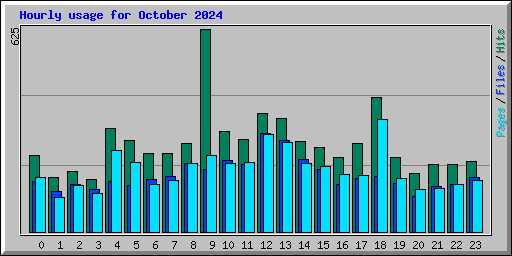 Hourly usage for October 2024