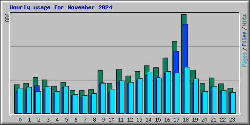 Hourly usage for November 2024