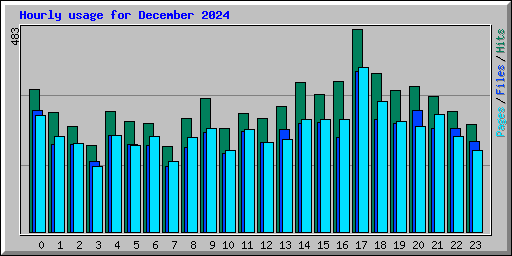 Hourly usage for December 2024