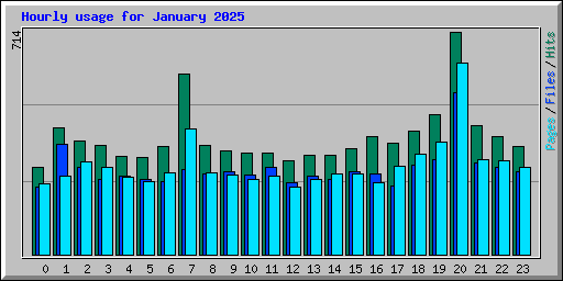 Hourly usage for January 2025