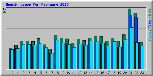 Hourly usage for February 2025