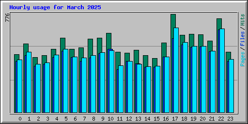 Hourly usage for March 2025