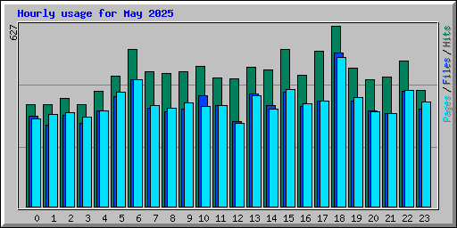 Hourly usage for May 2025