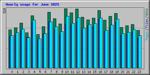 Hourly usage for June 2025